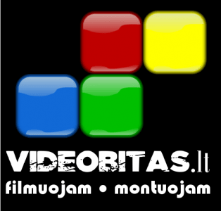 videobitas logo.png